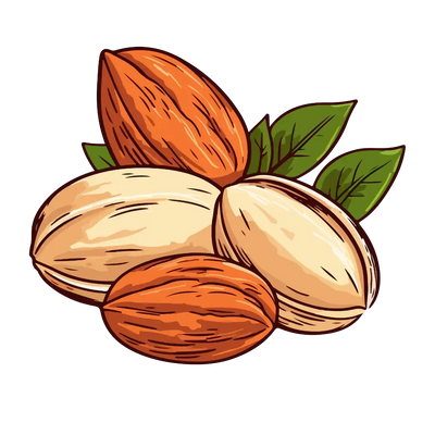 Nuts Collection - Premium Quality Nuts