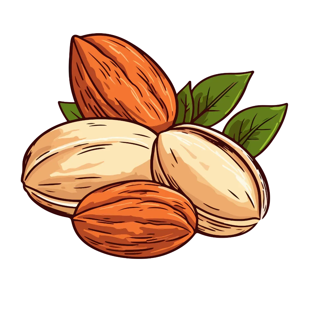 Nuts - Nuttb